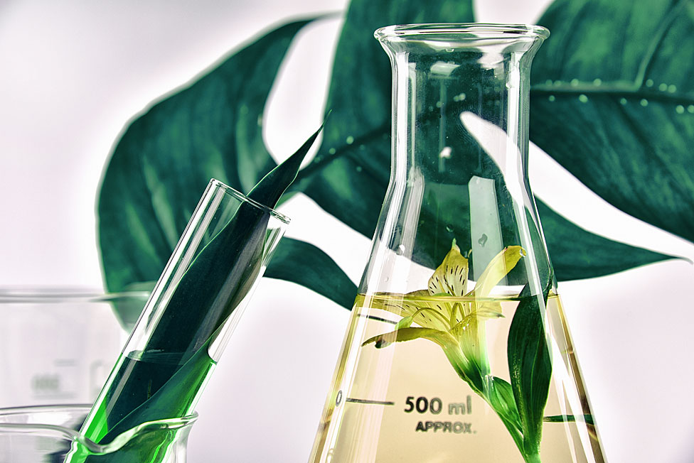 Plantas y tubos de laboratorio