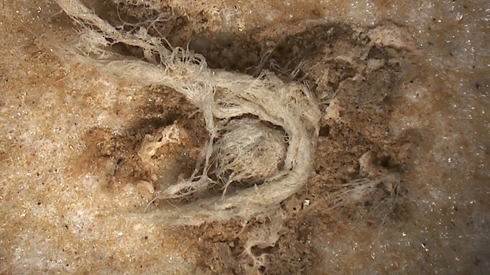 Раздаточная фотография, выпущенная M-H Moncel / Histoire Naturelle de l'Homme Prehistorique, демонстрирующая фрагмент шнура, обнаруженный на археологическом участке Абри-дю-Мара во Франции