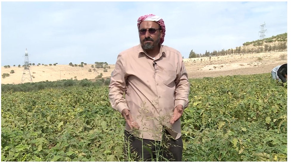هل ستختفي الزراعة من المنطقة العربية ؟ 2 علي الداقوس