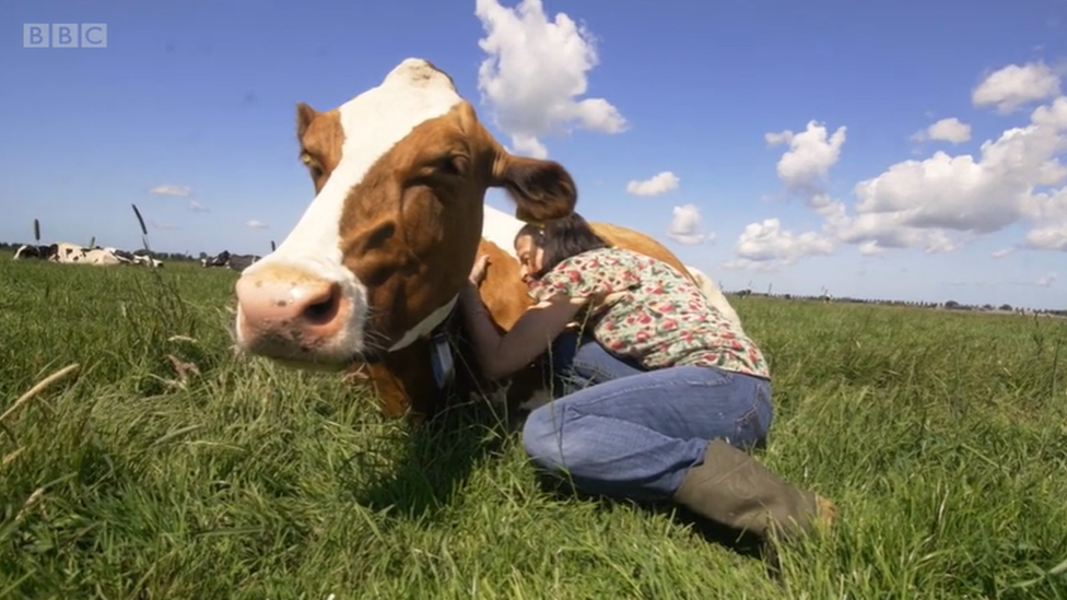 Mulher abraçando vaca