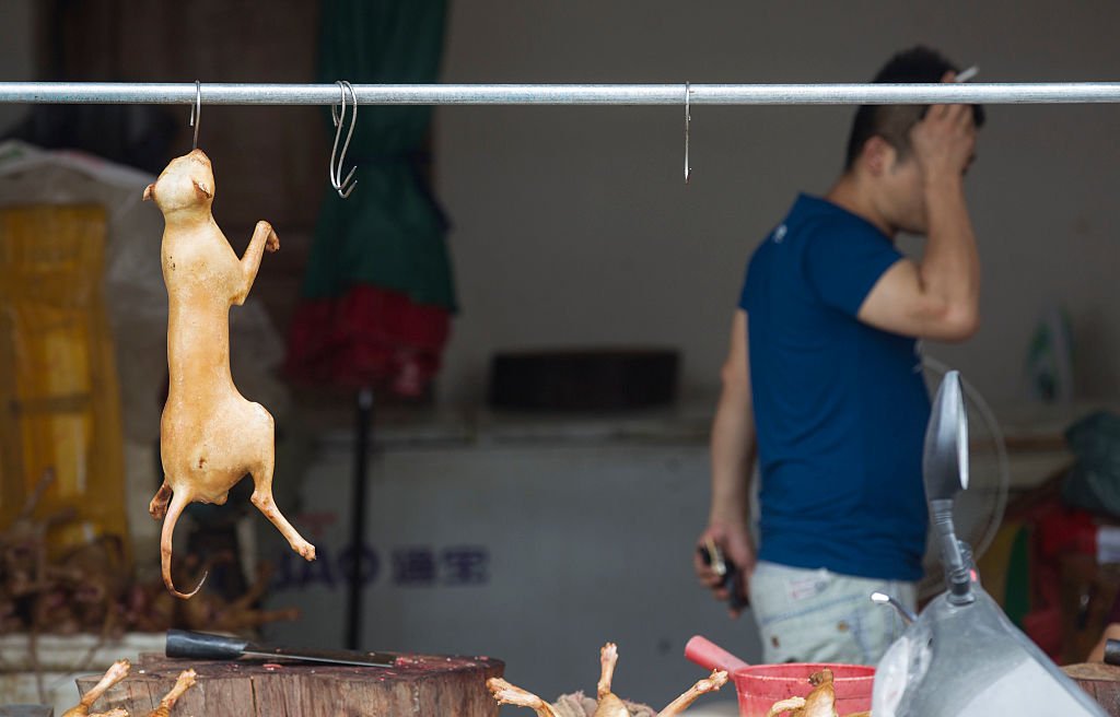在中國歷史上，很多地區有吃狗肉的習慣，但如今在中國食用狗肉的人群逐漸下降。
