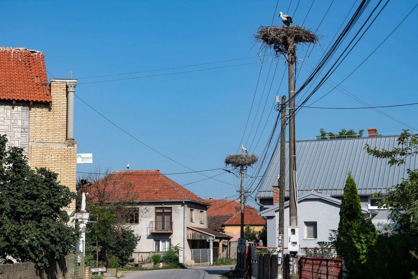 Donje Međurovo, selo u kome se traži bandera više za rode