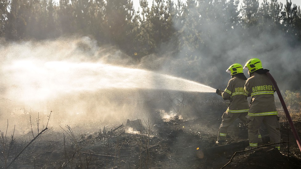 Bomberos en Chile lanzando agua con una manguera para combatir un incendio forestal