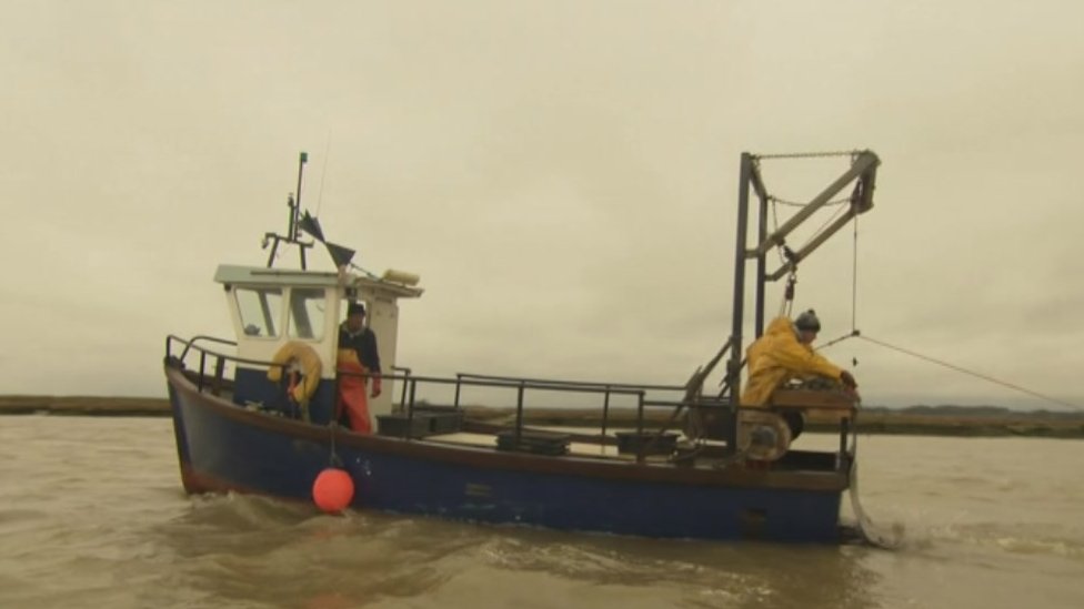 Лодка Colchester Oyster Fishery укладывает ракушки