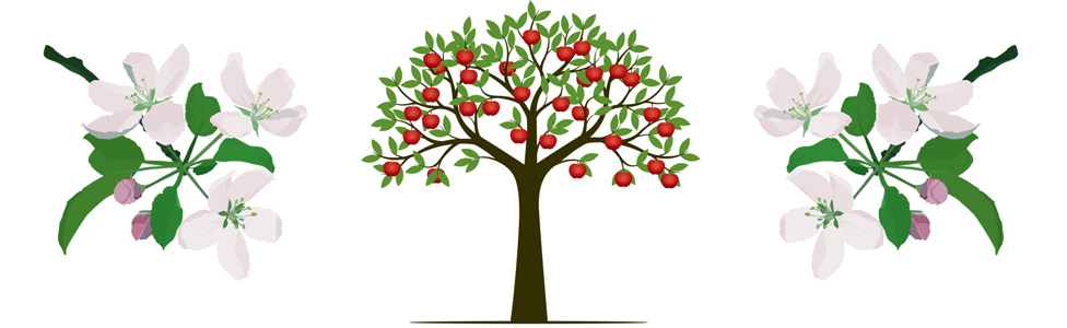 Иллюстрация крабовой яблони и цветения