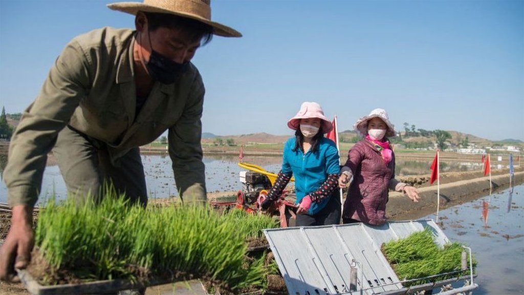 朝鮮的耕作方法已經過時，使得收成很不容易。如果農民無法照料田地，更大的麻煩就在眼前。