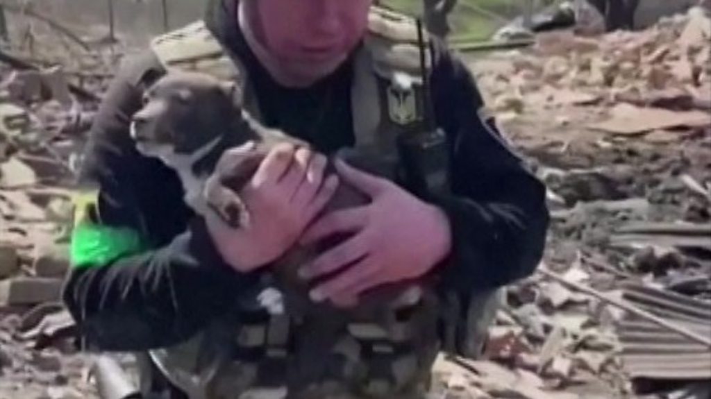 War in Ukraine: The moment a puppy is rescued from the rubble