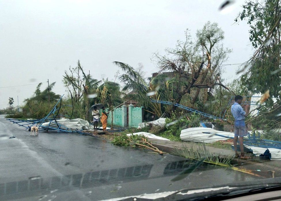 الإعصار اقتلع آلاف الأشجار من جذورها
