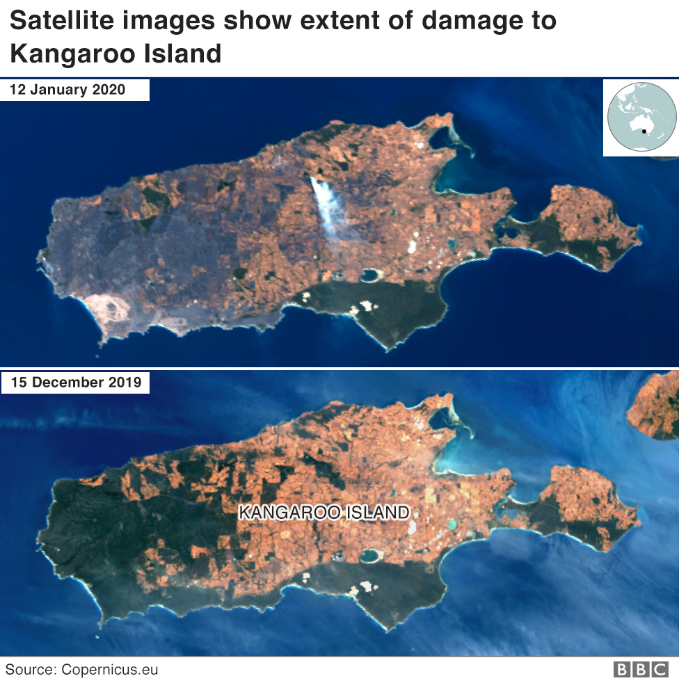 Спутниковый снимок, показывающий разрушения огнем на острове Кенгуру