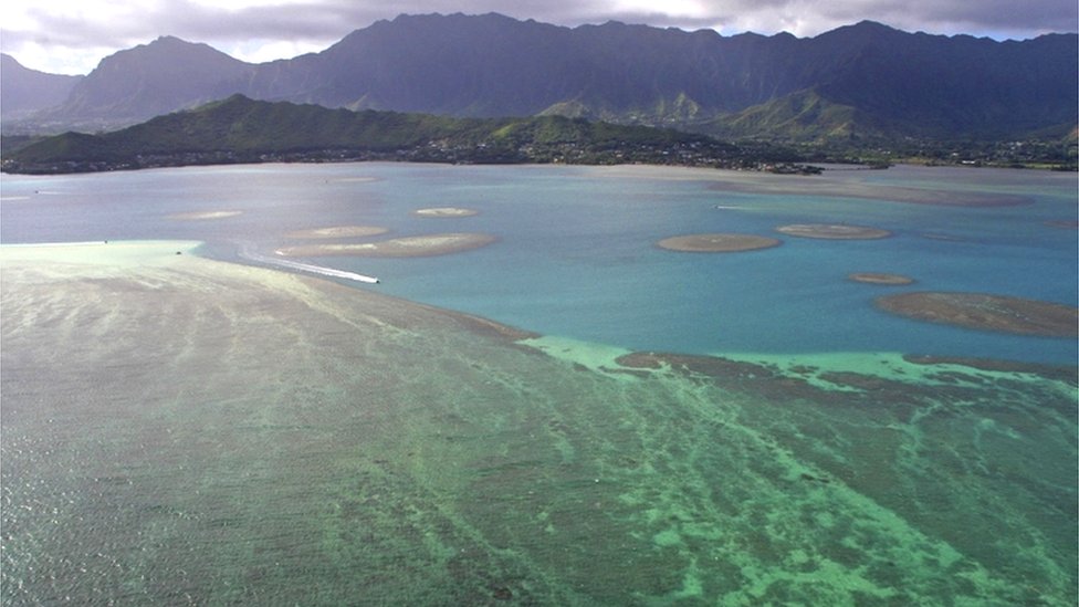 Arrecifes de coral en la costa de Oahu, en Hawaii.
