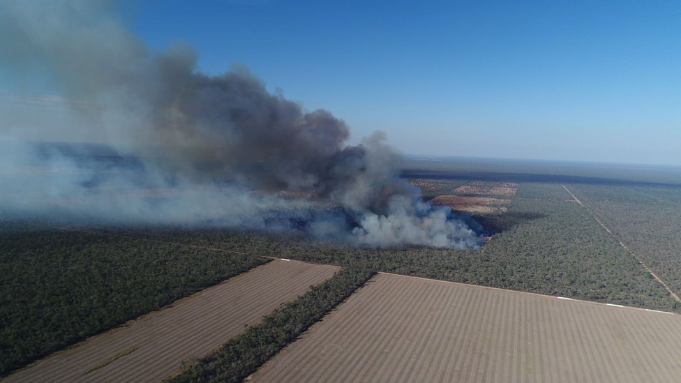 Пожары опустошают тропический лес