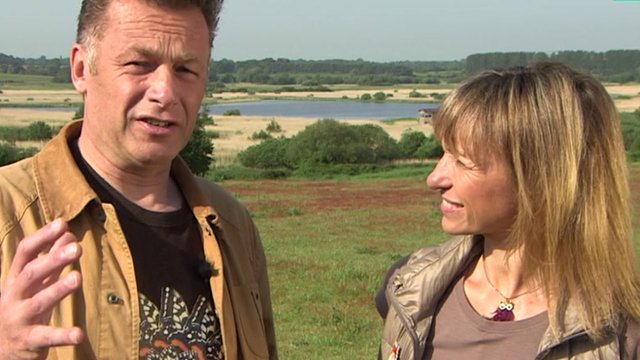 Springwatch presenters answer your questions - BBC Newsround