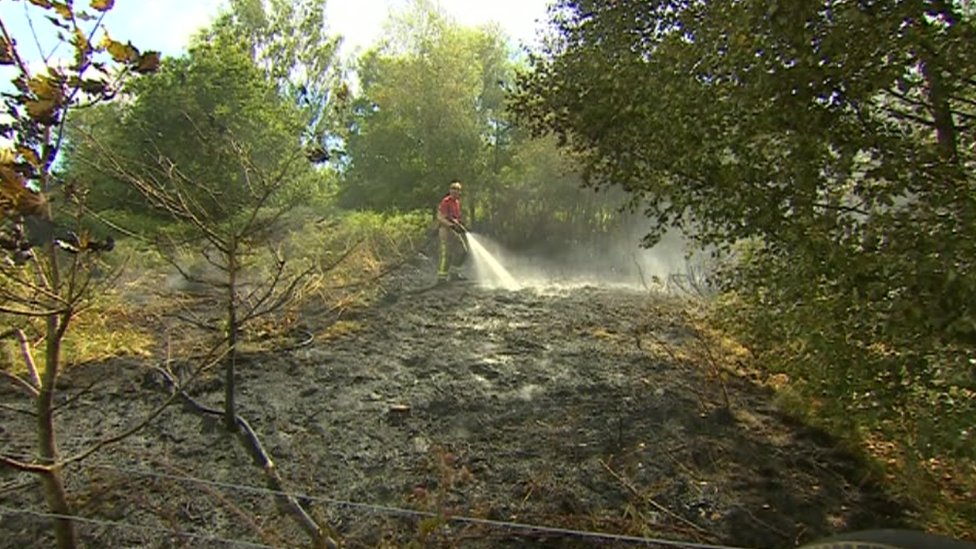 Пожарный использует шланг, чтобы погасить пламя в лесу