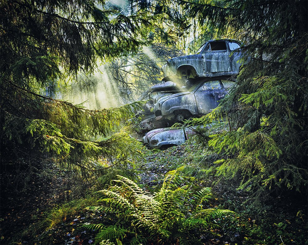 Nekoliko napuštenih automobila u šumi