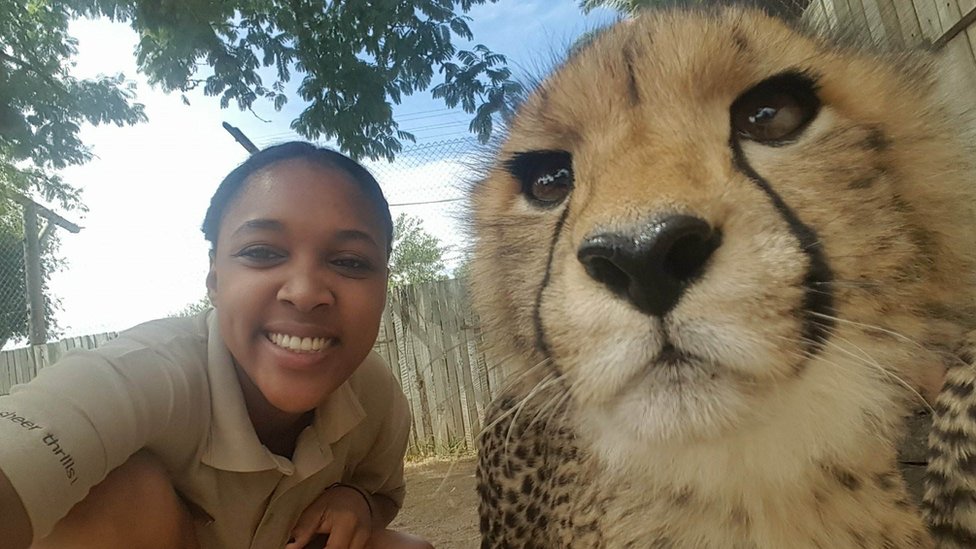 Animal keeper Angelique Oktober with a cheetah