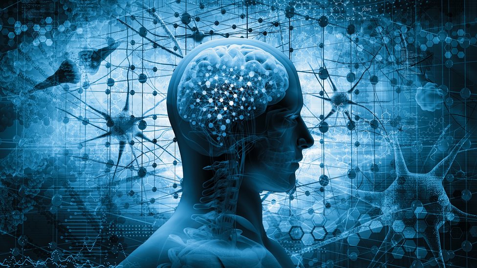 La estimulación magnética transcraneana (EMT) es una técnica de investigación no invasiva. Cerebro