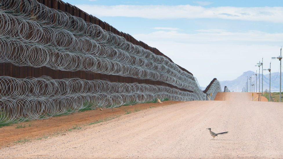 La imagen de Alejandro Prieto de un pájaro correcaminos frente al muro entre EE.UU. y México