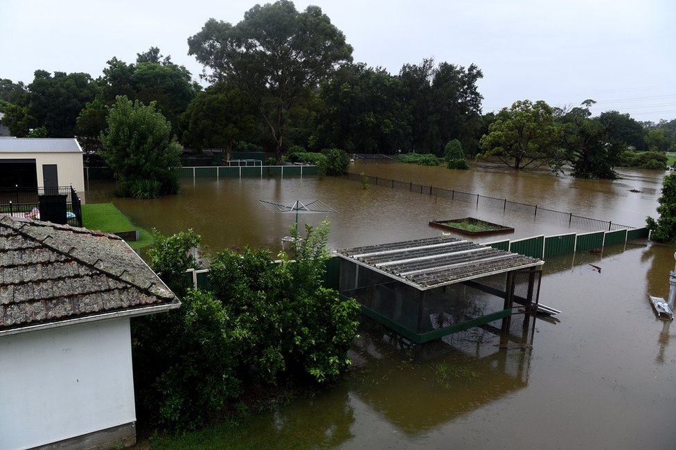 Halaman belakang kebanjiran di Penrith, New South Wales, Australia.