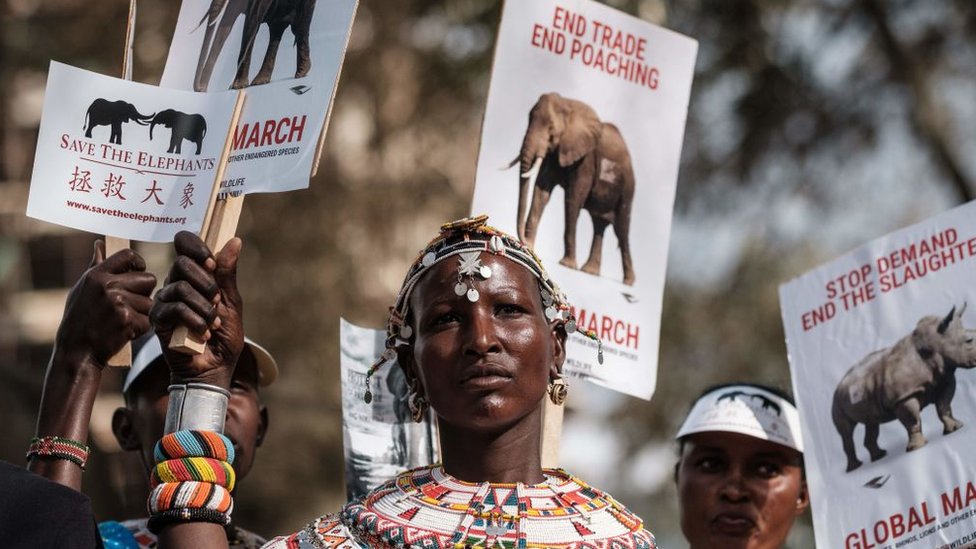 Manifestación en Kenia en defensa de los elefantes.