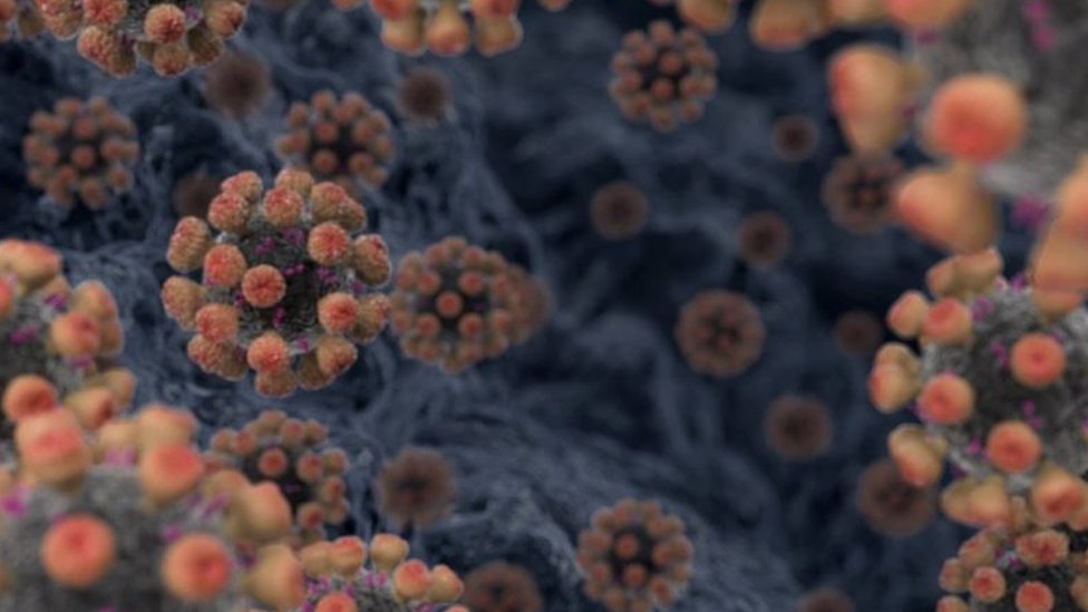 Yeni koronavirüsün en tehlikeli özelliği kendini uzun süre gizleyebilmesi