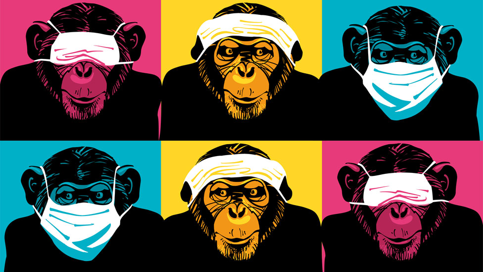 Monos con máscaras en los ojos, cabeza y boca