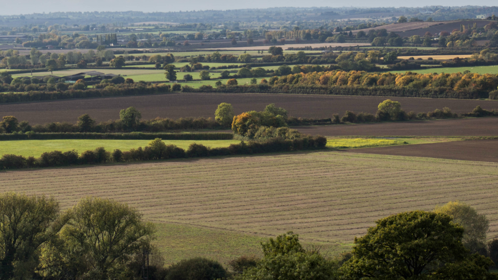BBC Local Live Beds, Herts & Bucks on Monday, 25 January 2016. BBC News