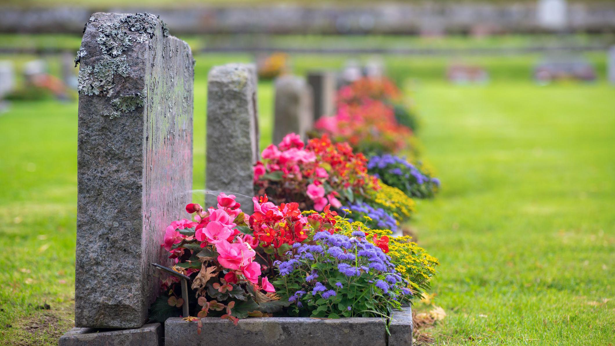Reading allotment site could become graveyard