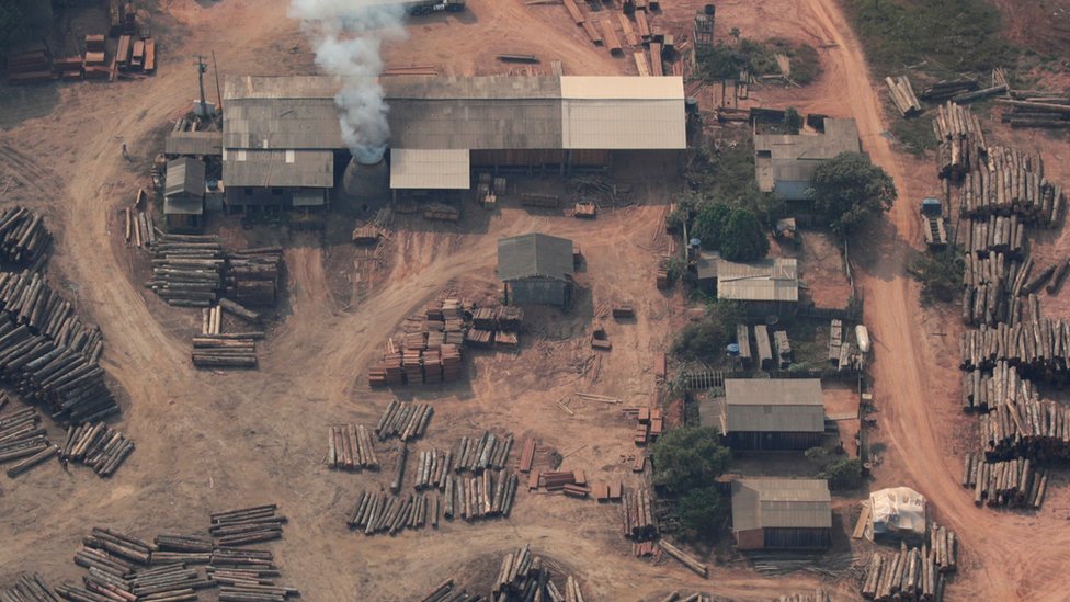 Вид с воздуха на предполагаемый участок незаконной вырубки (Рейтер)