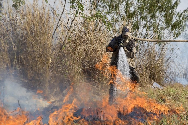 Incendio no Pantanal