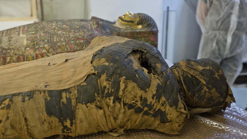 Imagen de la momia en su sarcófago.