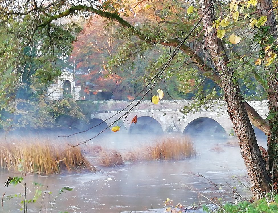 Туман над водой у моста
