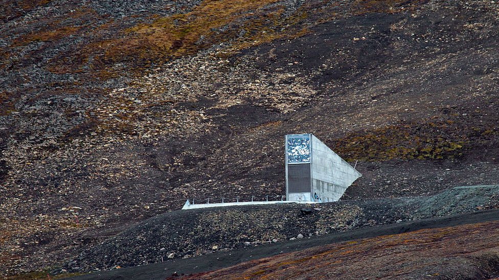 Entrada al Banco Mundial de Semillas de Svalbard es parte de los lugares prohibidos