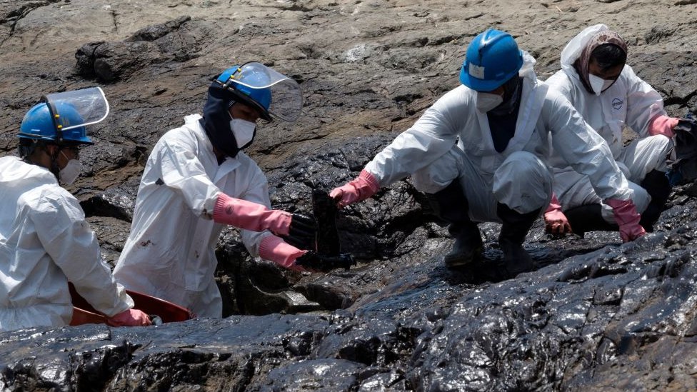Grupos de personas trabajan para limpiar el derrame de petróleo en las costas peruanas.