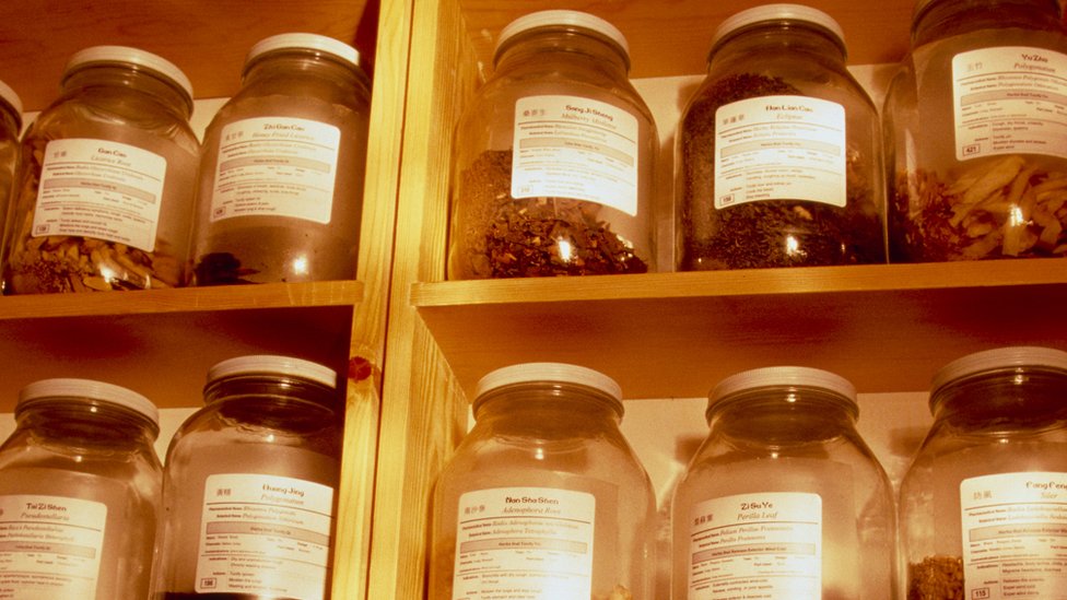 En la medicina tradicional china se utiliza para aliviar las molestias durante el embarazo y para los dolores articulares, aunque no hay ninguna prueba científica que lo avale. Remedios de medicina tradicional china.