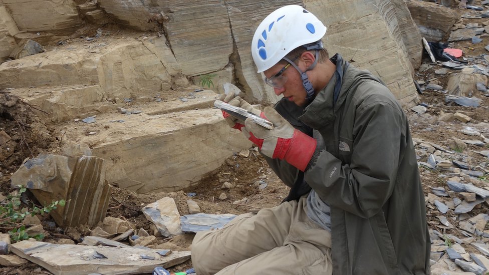 Окаменелости были найдены в канадских скалах