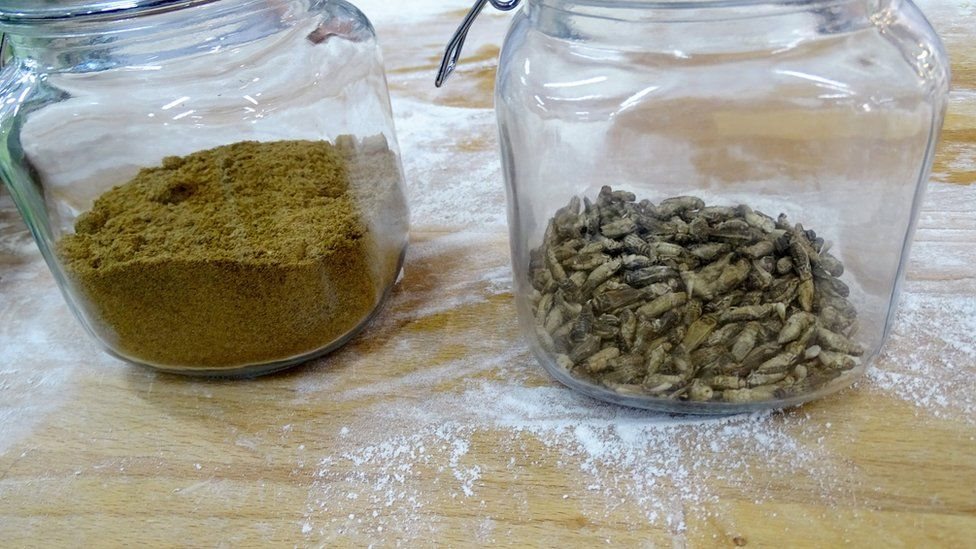 хліб із цвіркунів