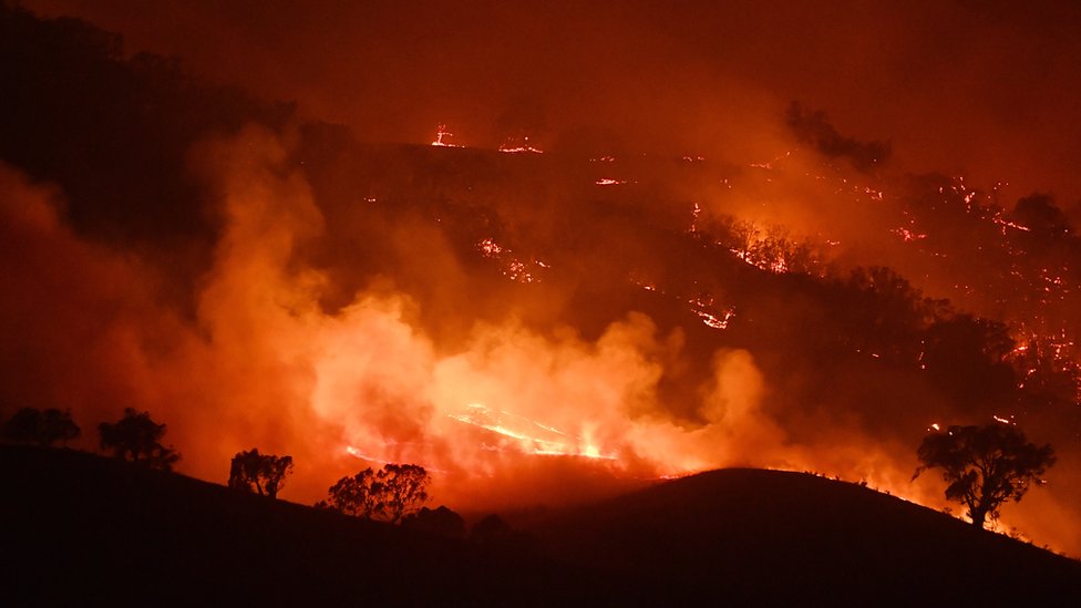 Вид на пожар на Данн-роуд в Новом Южном Уэльсе