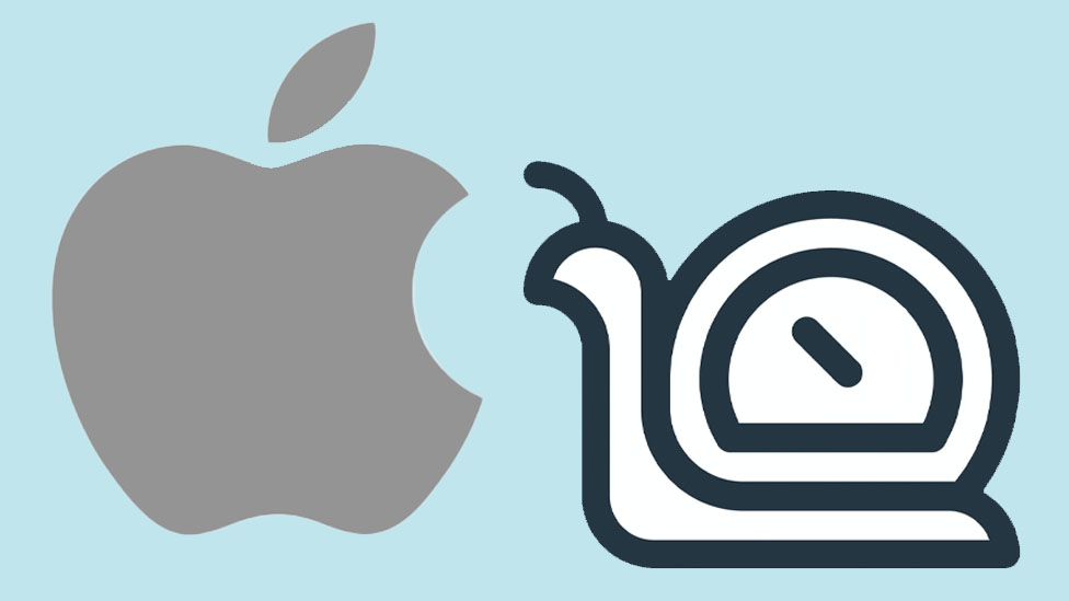 Apple and snail logo