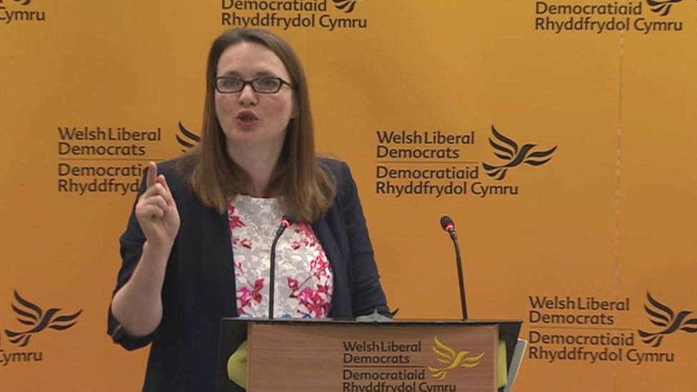 Welsh Lib Dems strip away non-essentials - BBC News