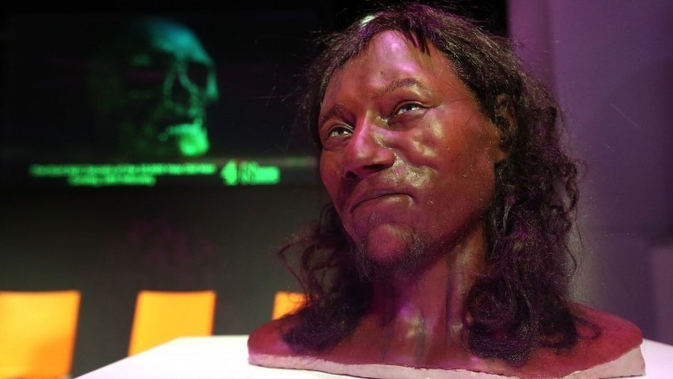 DNA suggests 10,000-year-old Brit had dark skin, blue eyes