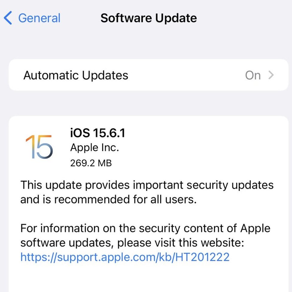 A screenshot of the system update screen on iPhone