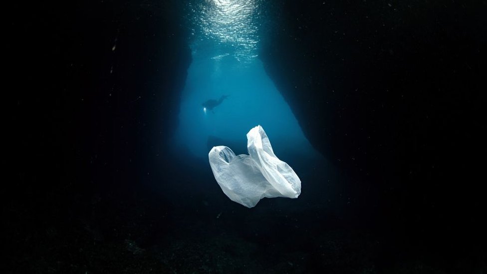 A plastic bag floats around at the Samandag Cevlik Akcay diving site off the coasts of Samandag, near the Turkey - Syria border