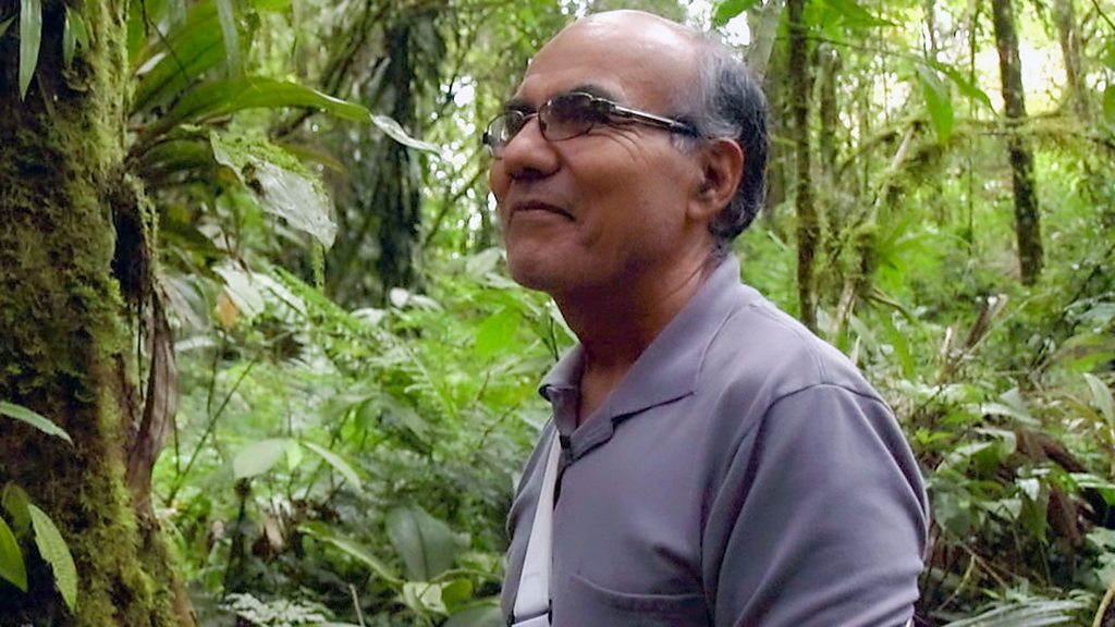 The man who grew his own Amazon rainforest