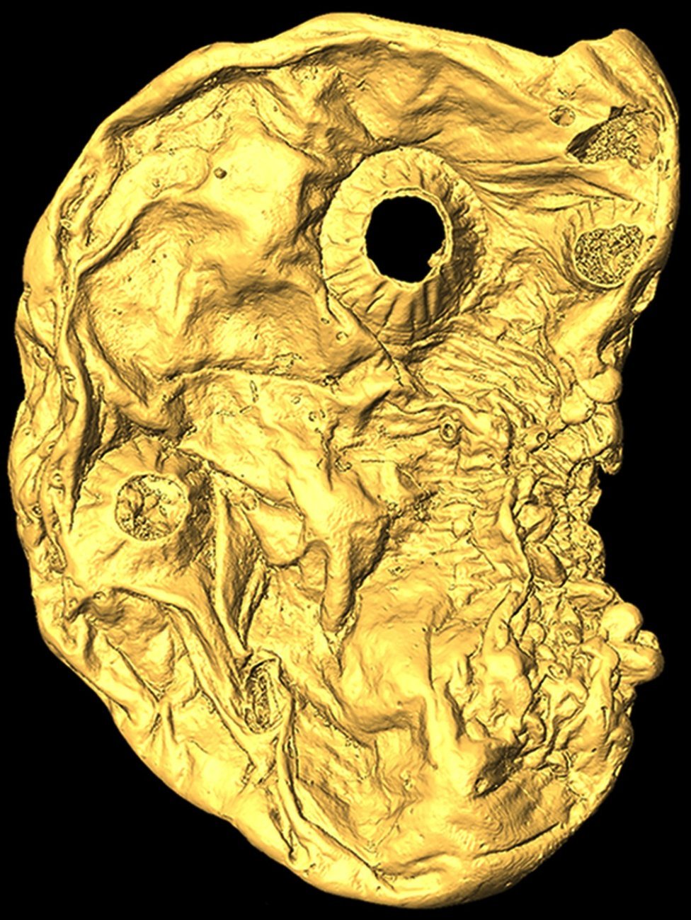 Uma imagem detalhada de Saccorhytus coronarius