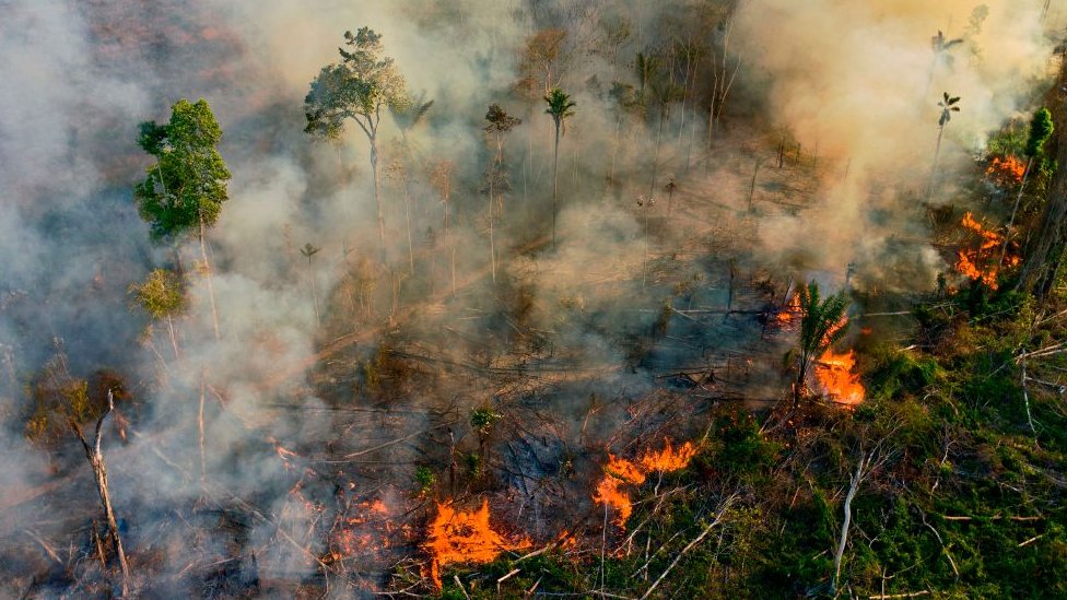 Smoke and flames rise from an illegally lit fire in an Amazon rainforest reserve, south of Novo Progresso in Para state, Brazil