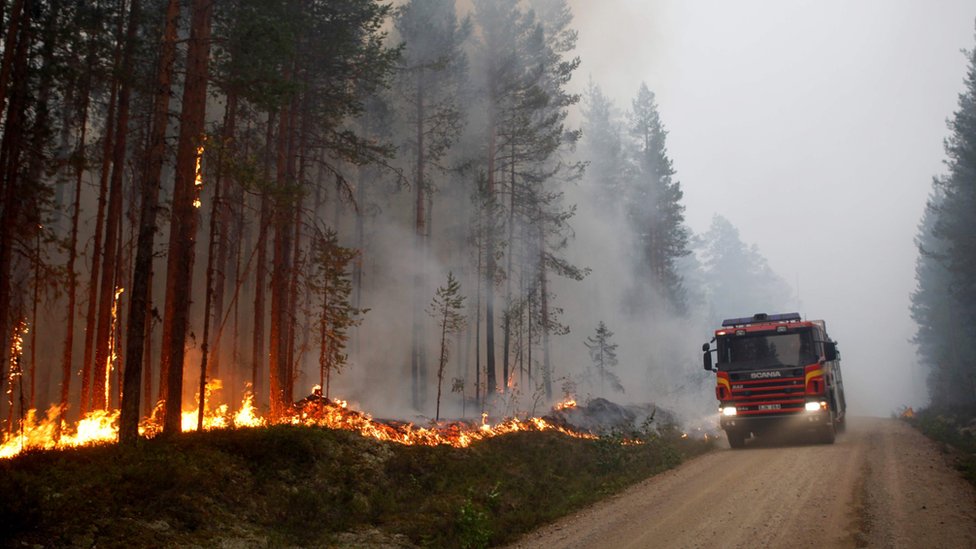 Un camión contra incendios en un bosque de Suecia