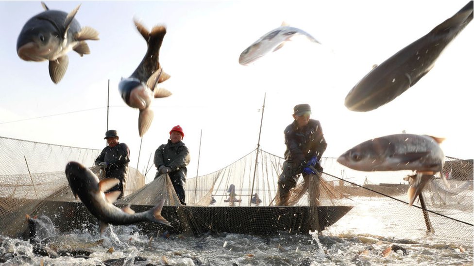 Pescadores en China.