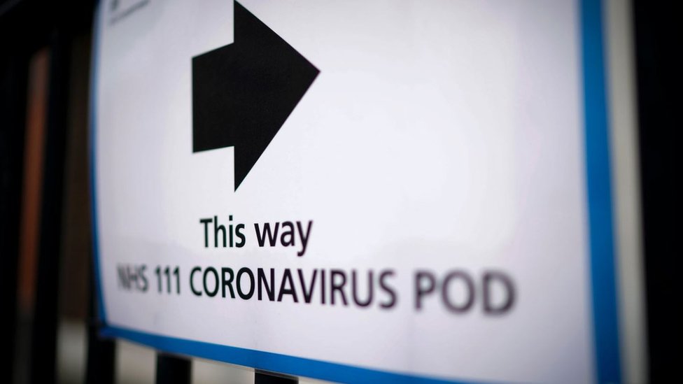 Знаки, направляющие людей к изоляторам коронавируса