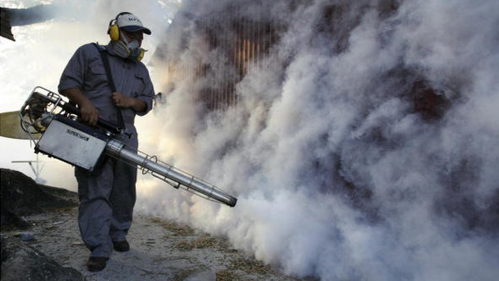 Profissional aplica fumacê contra Aedes