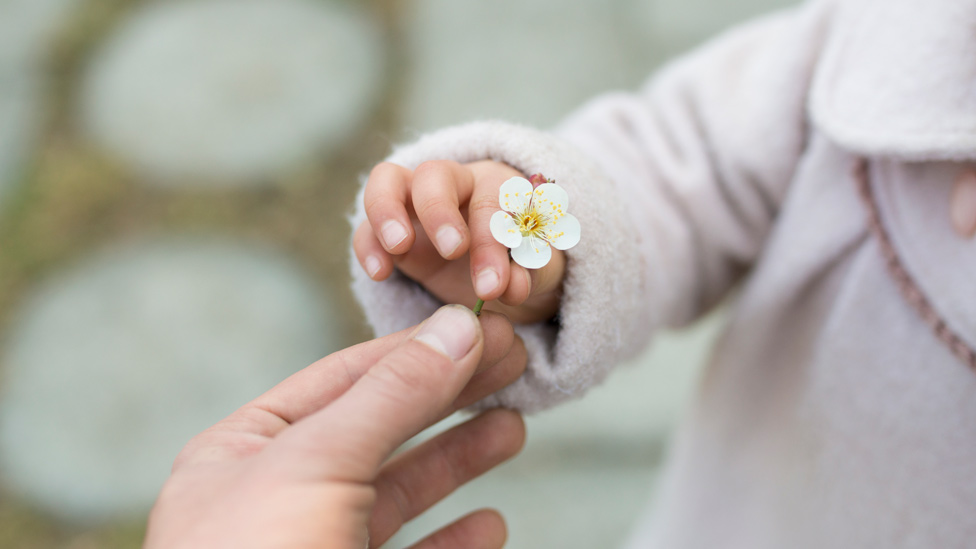 Mano de un niño dando una flor a un adulto